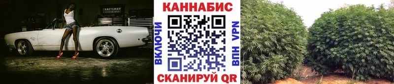Купить где  Гай  Канабис конопля 